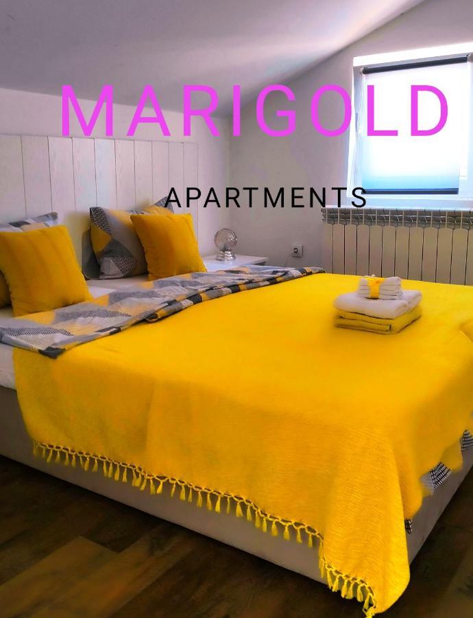 Oldtown Apartments - Marigold Group Нови Сад Екстериор снимка